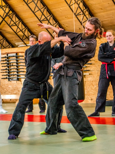 Bujinkan Griff